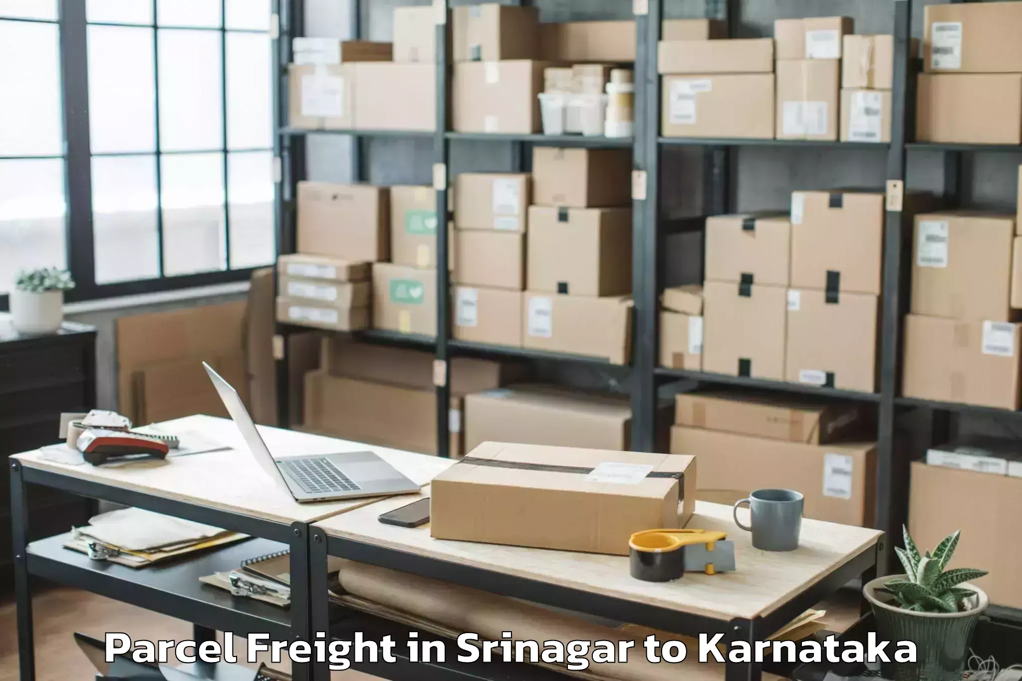 Hassle-Free Srinagar to Mysore University Parcel Freight